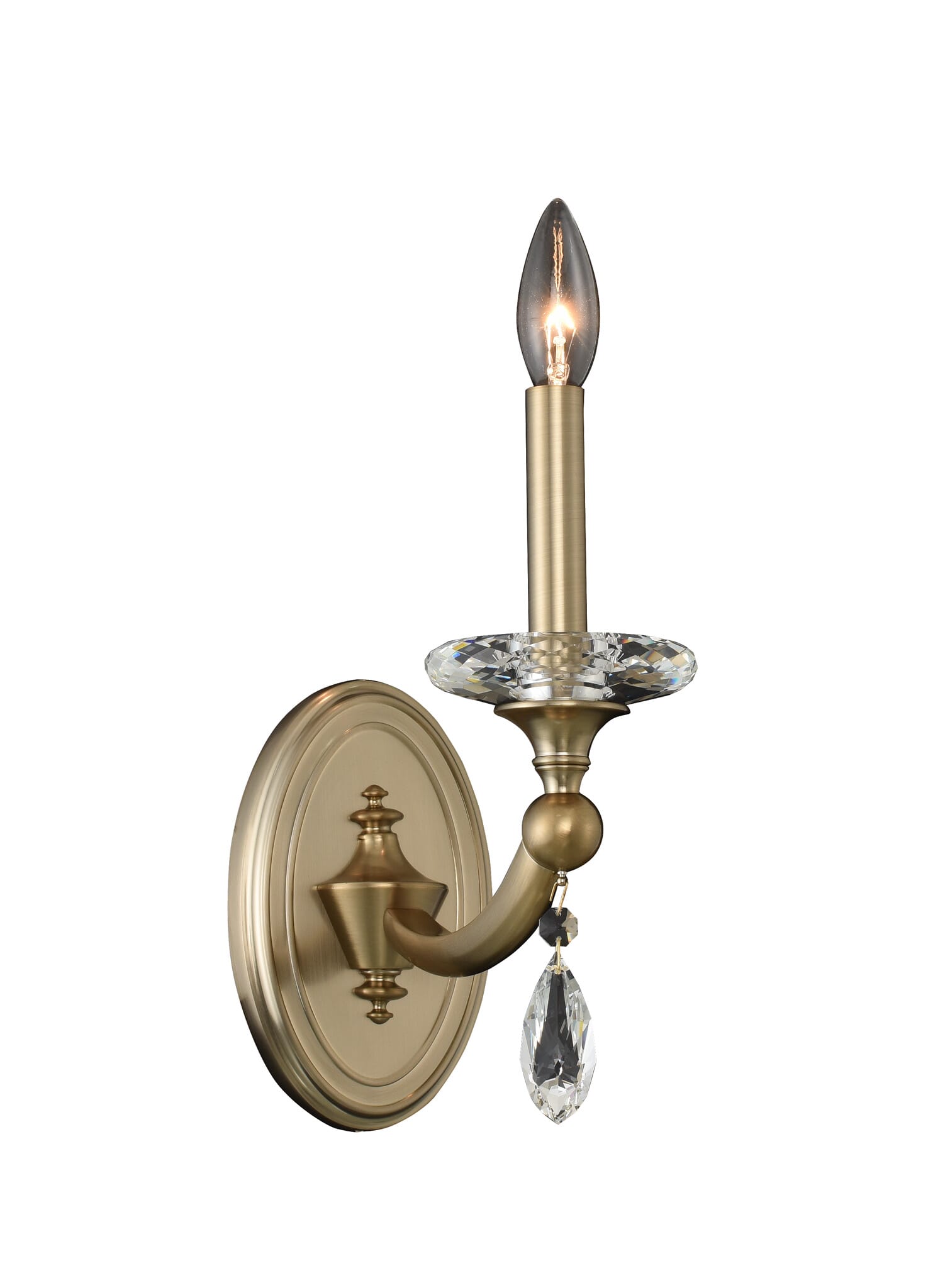 Allegri Floridia 13" Wall Sconce in Matte Brushed Champagne Gold