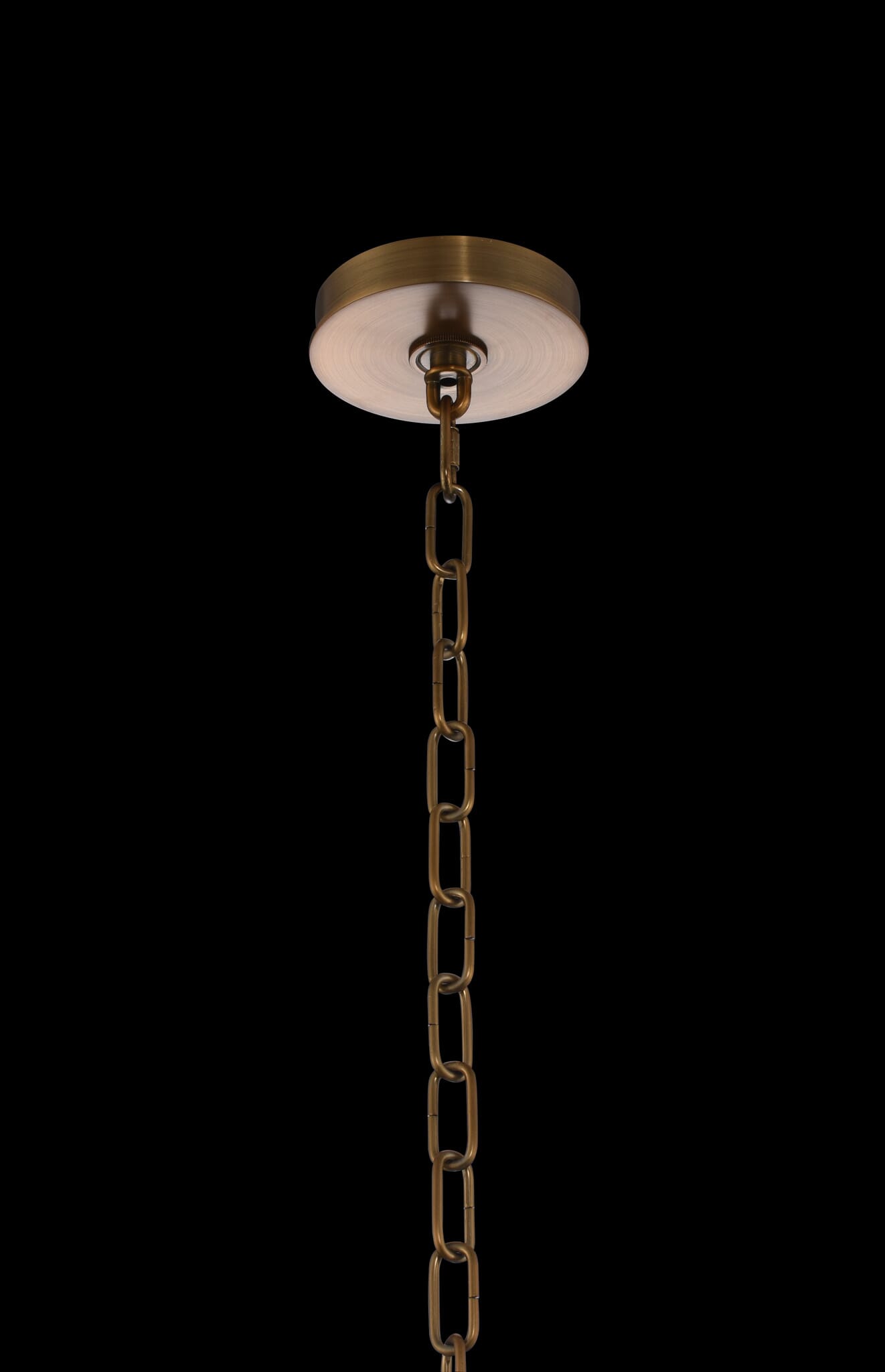 Allegri Verona 4-Light Pendant Light in Brushed Pearlized Brass