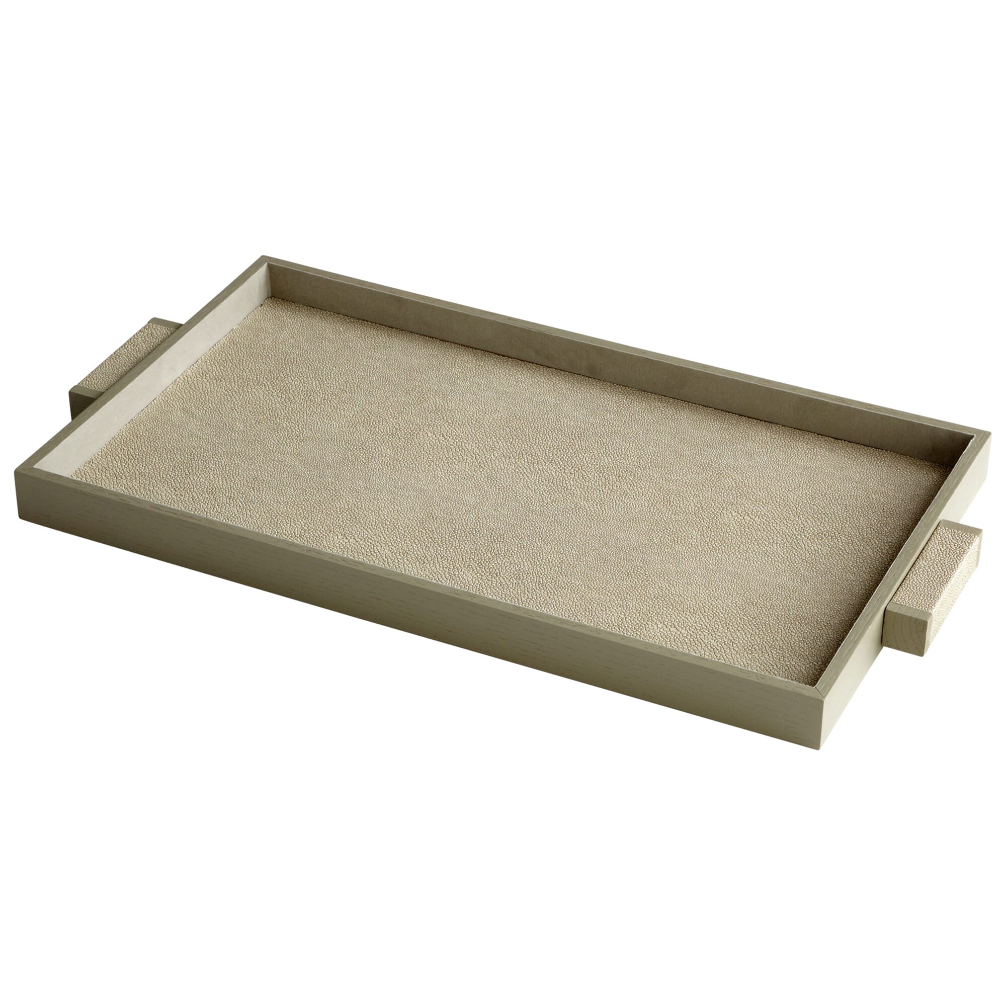 Cyan Design Large Melrose Tray in Shagreen