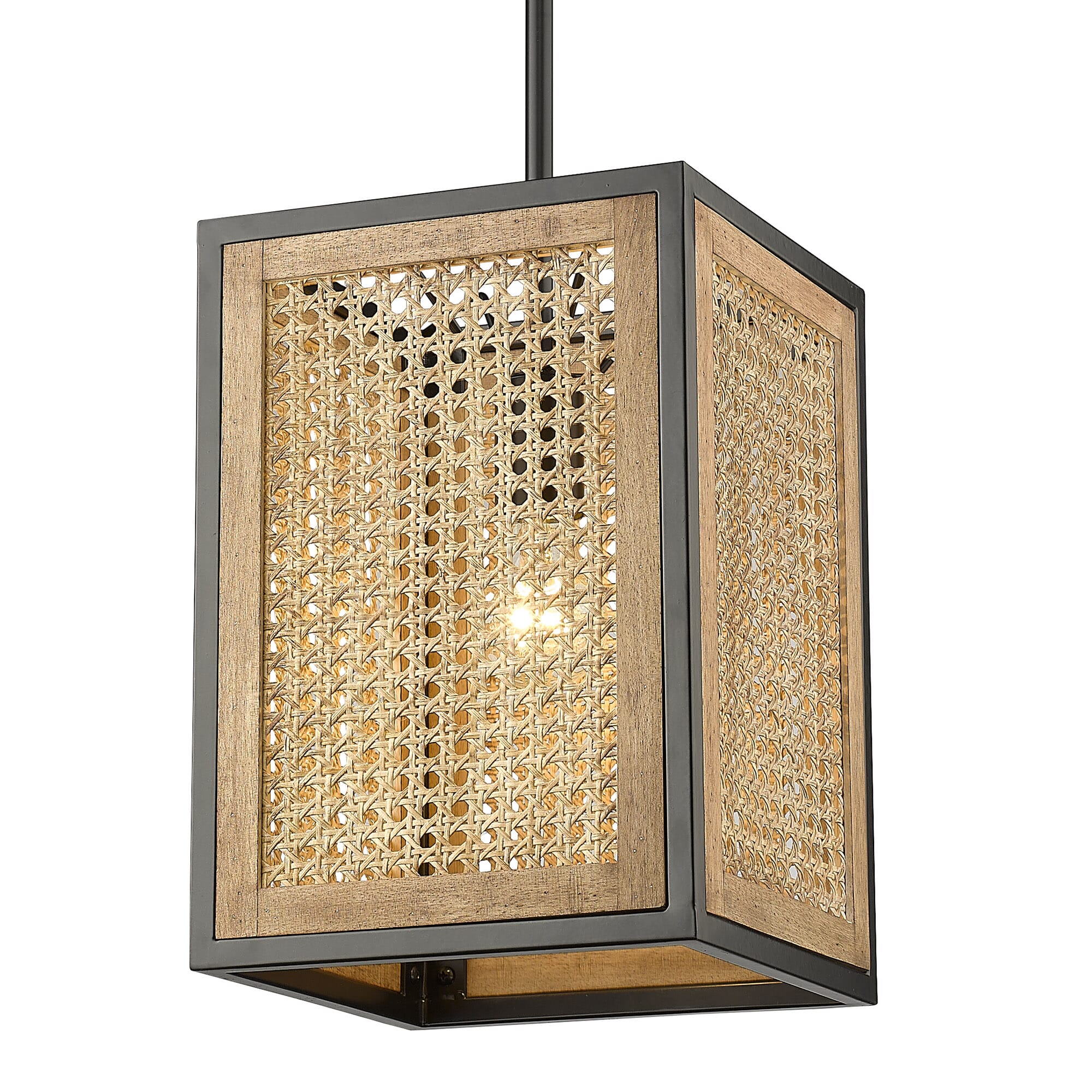 Golden Rowan Pendant Light in Matte Black