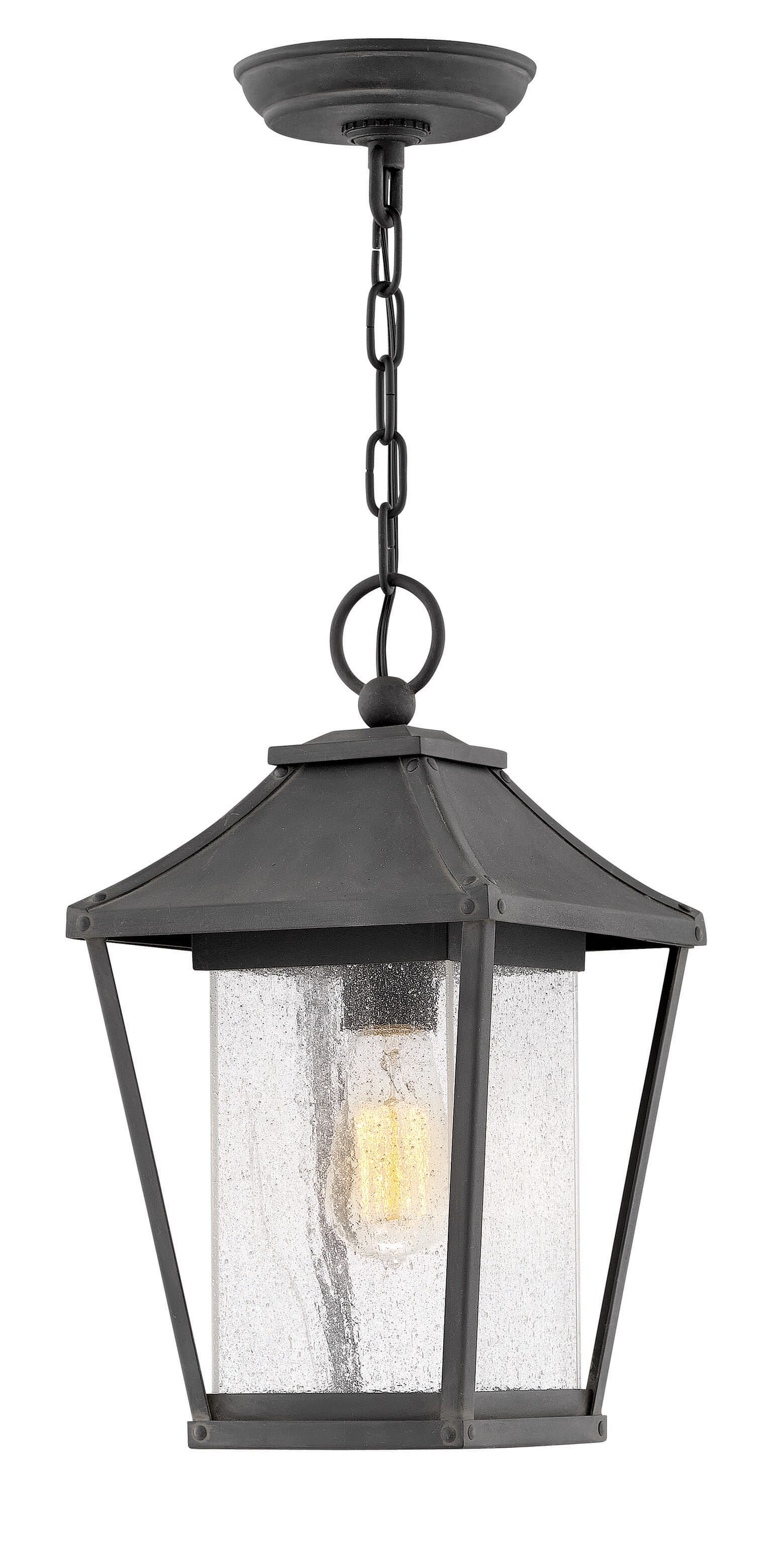 Hinkley Palmer 1-Light Outdoor Hanging Light in Museum Black