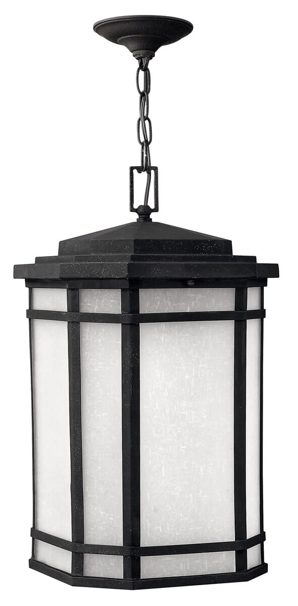 Hinkley Cherry Creek 1-Light Outdoor Hanging Light in Vintage Black