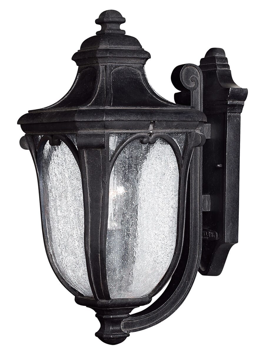 Hinkley Trafalgar 1-Light Outdoor Medium Wall Mount in Museum Black