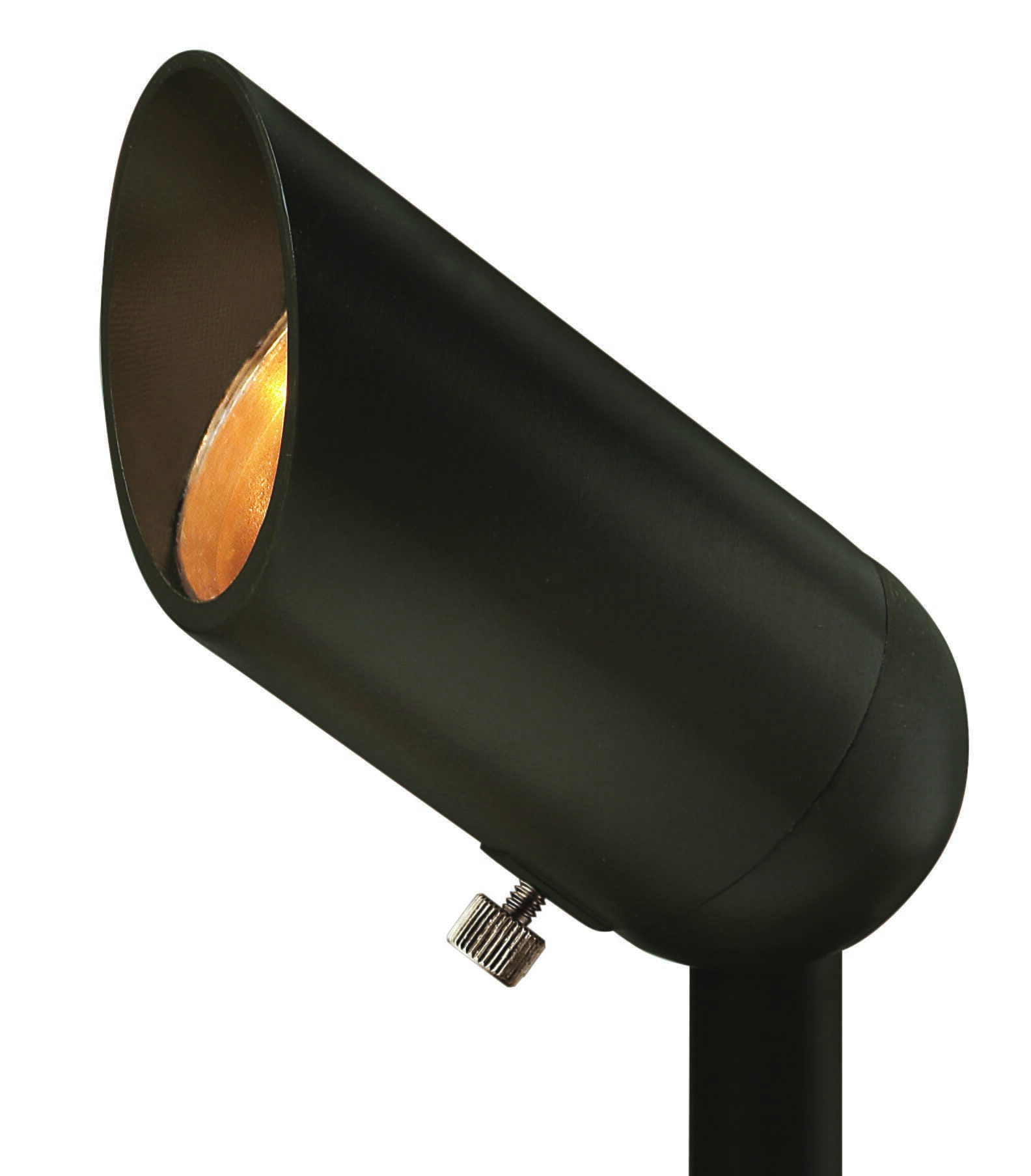 Hinkley 1-Light Outdoor Landscape Accent Spot LED in Bronze