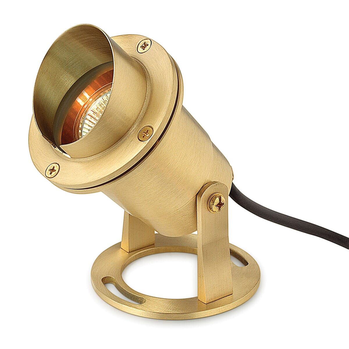 Hinkley 1-Light Outdoor Landscape Accent MR16 Pond Light in Brass