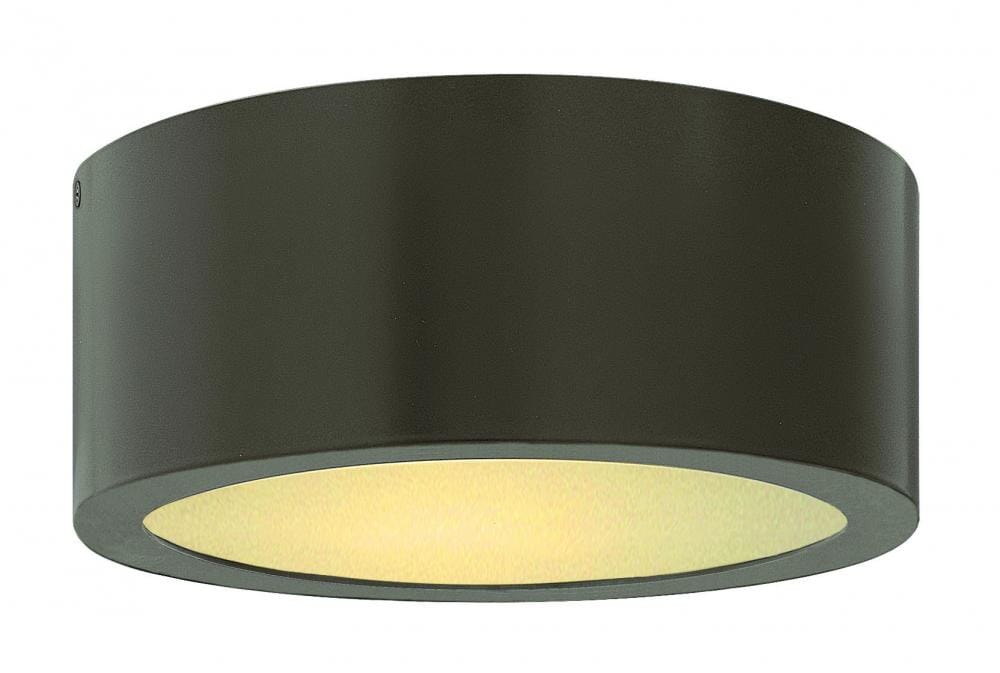 Hinkley Luna LED Outdoor Ceiling Light in Bronze