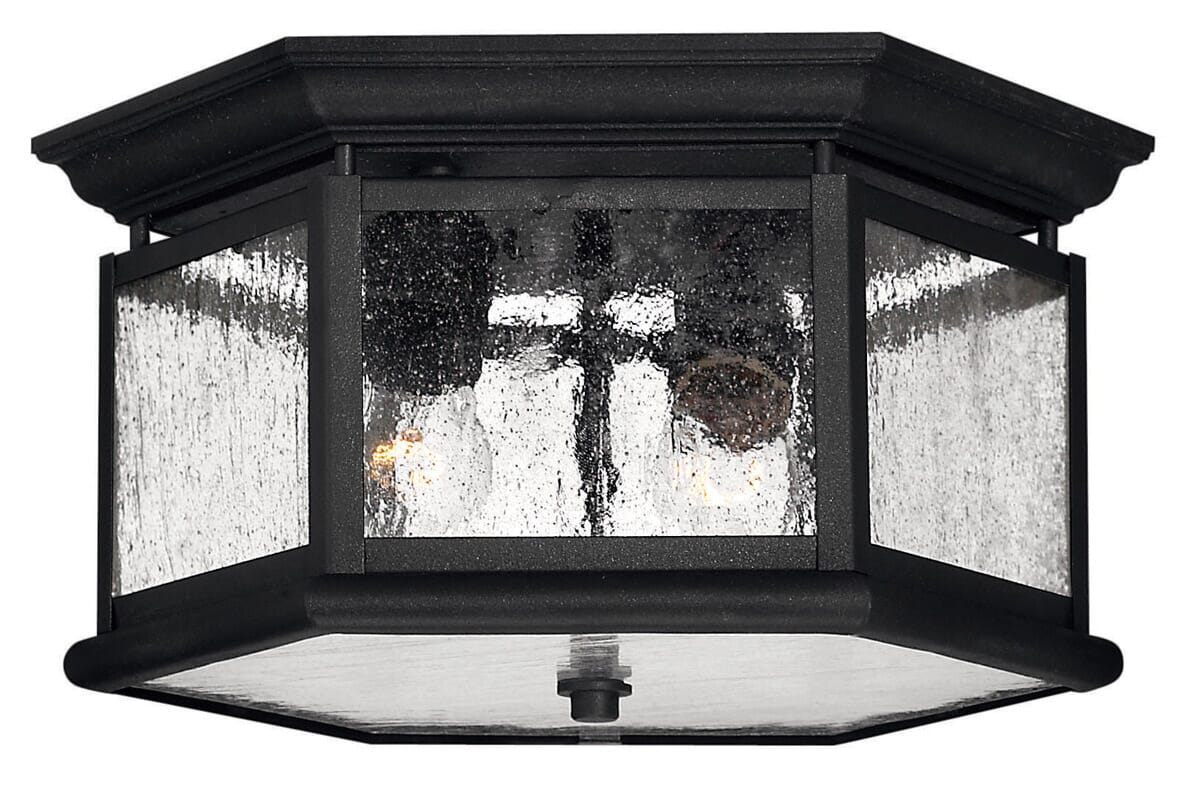 Hinkley Edgewater 2-Light Outdoor Ceiling Light in Black