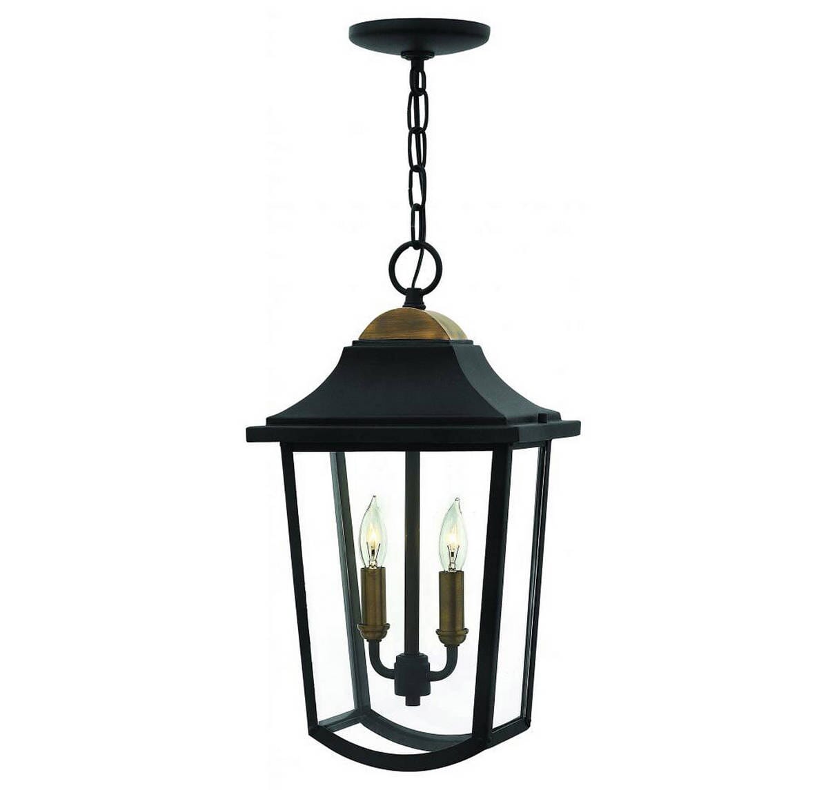 Hinkley Burton 2-Light Outdoor Hanging Light in Black