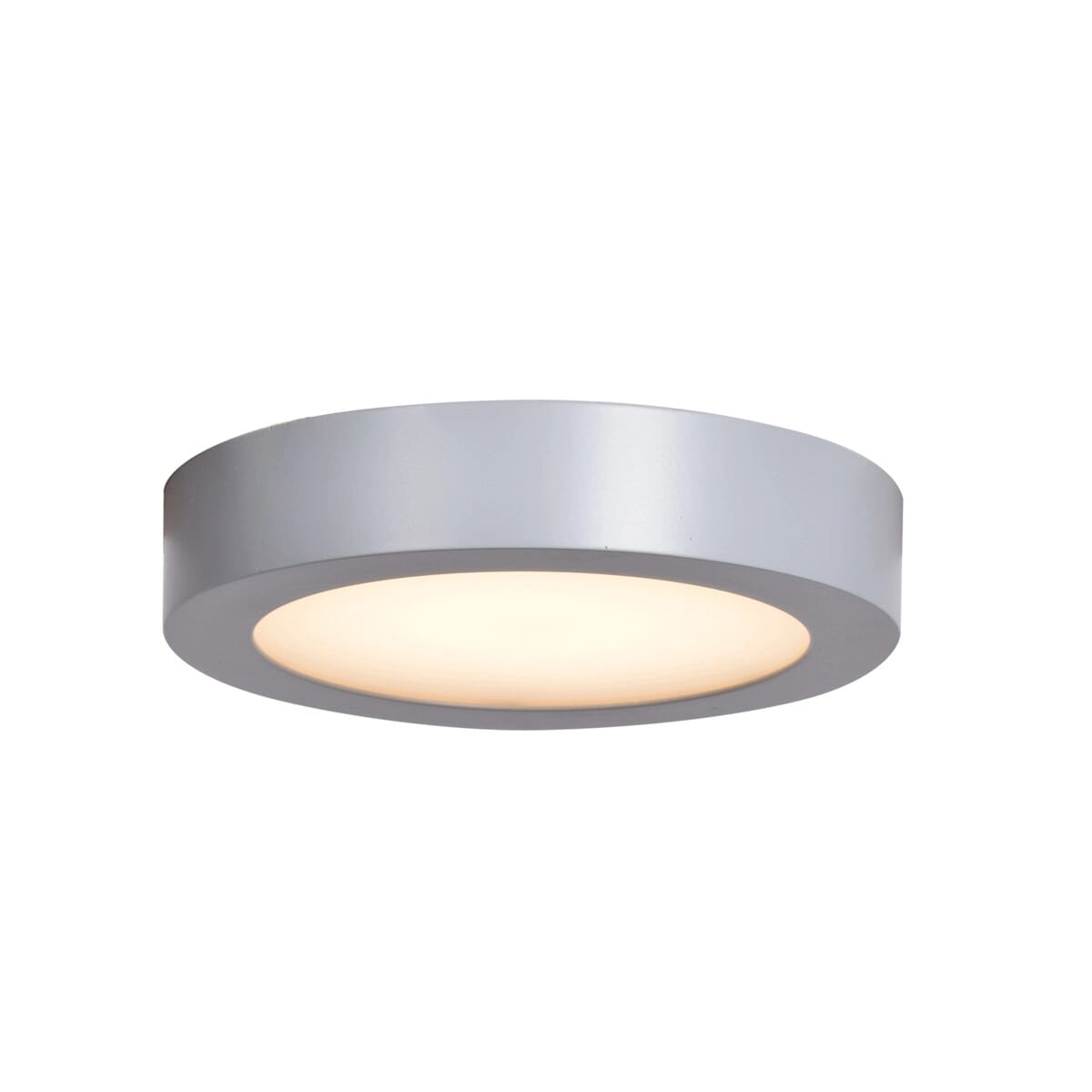 Access Ulko Exterior 1" Outdoor Ceiling Light in Silver