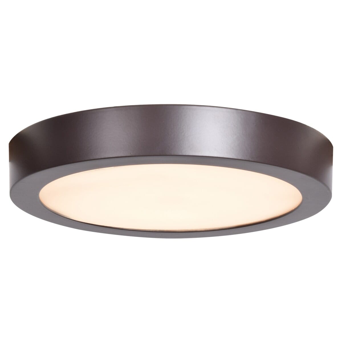 Access Ulko Exterior 1" Outdoor Ceiling Light in Bronze