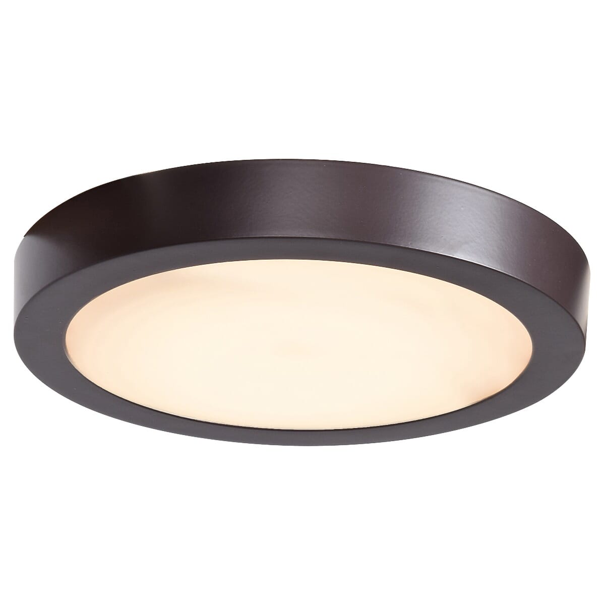 Access Ulko Exterior 1" Outdoor Ceiling Light in Bronze