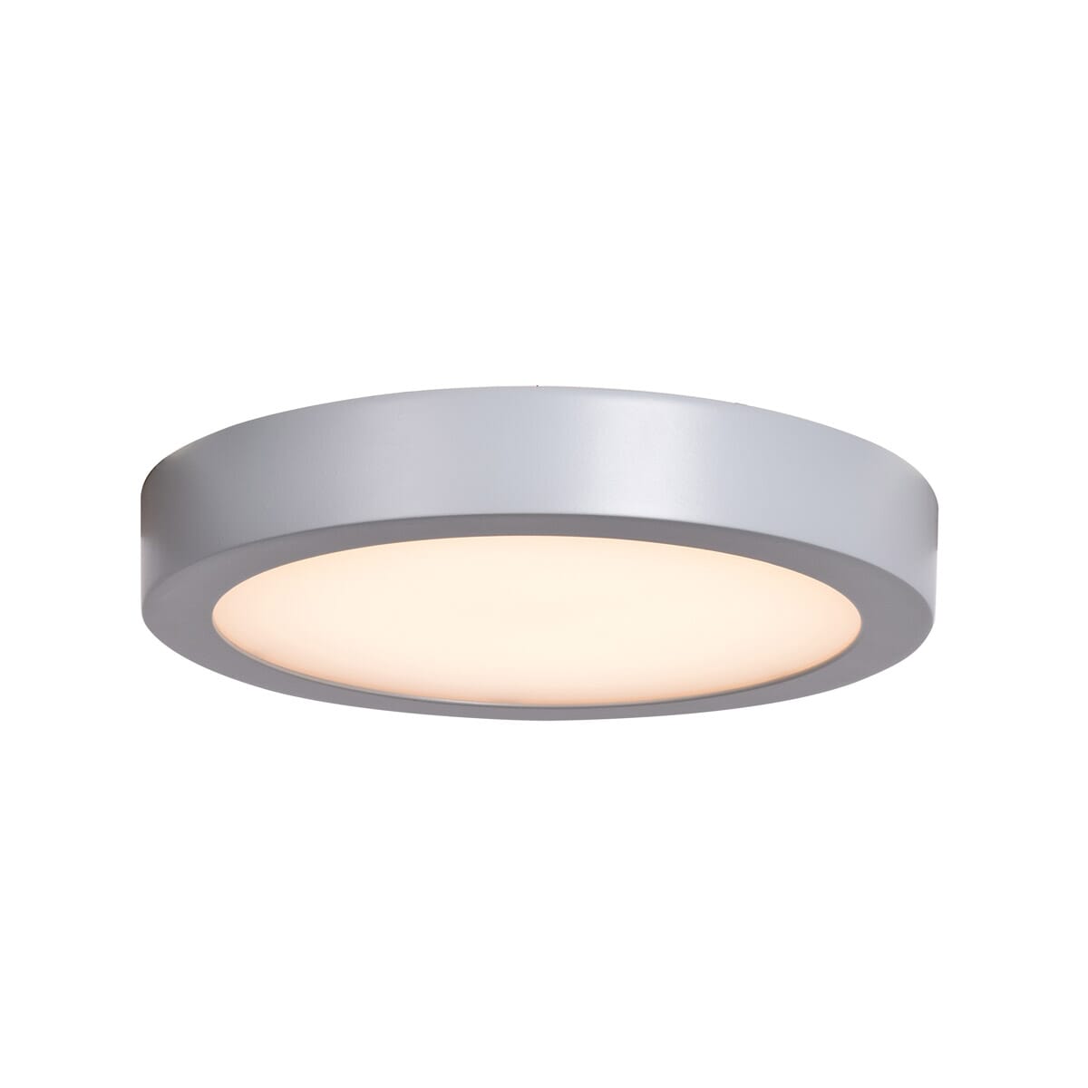 Access Ulko Exterior 1" Outdoor Ceiling Light in Silver