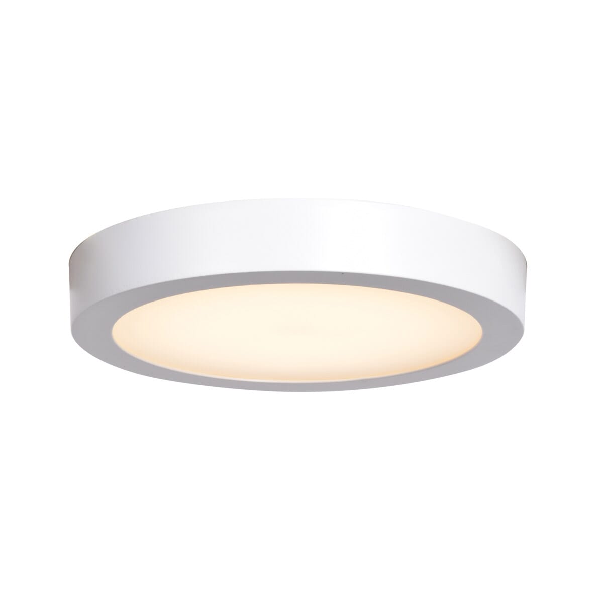 Access Ulko Exterior 1" Outdoor Ceiling Light in White