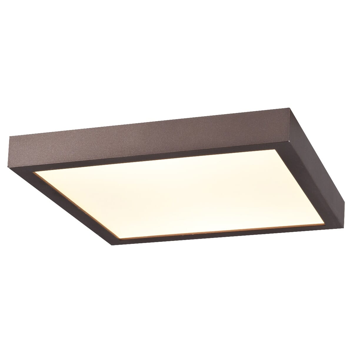 Access Ulko Exterior 1" Outdoor Ceiling Light in Bronze