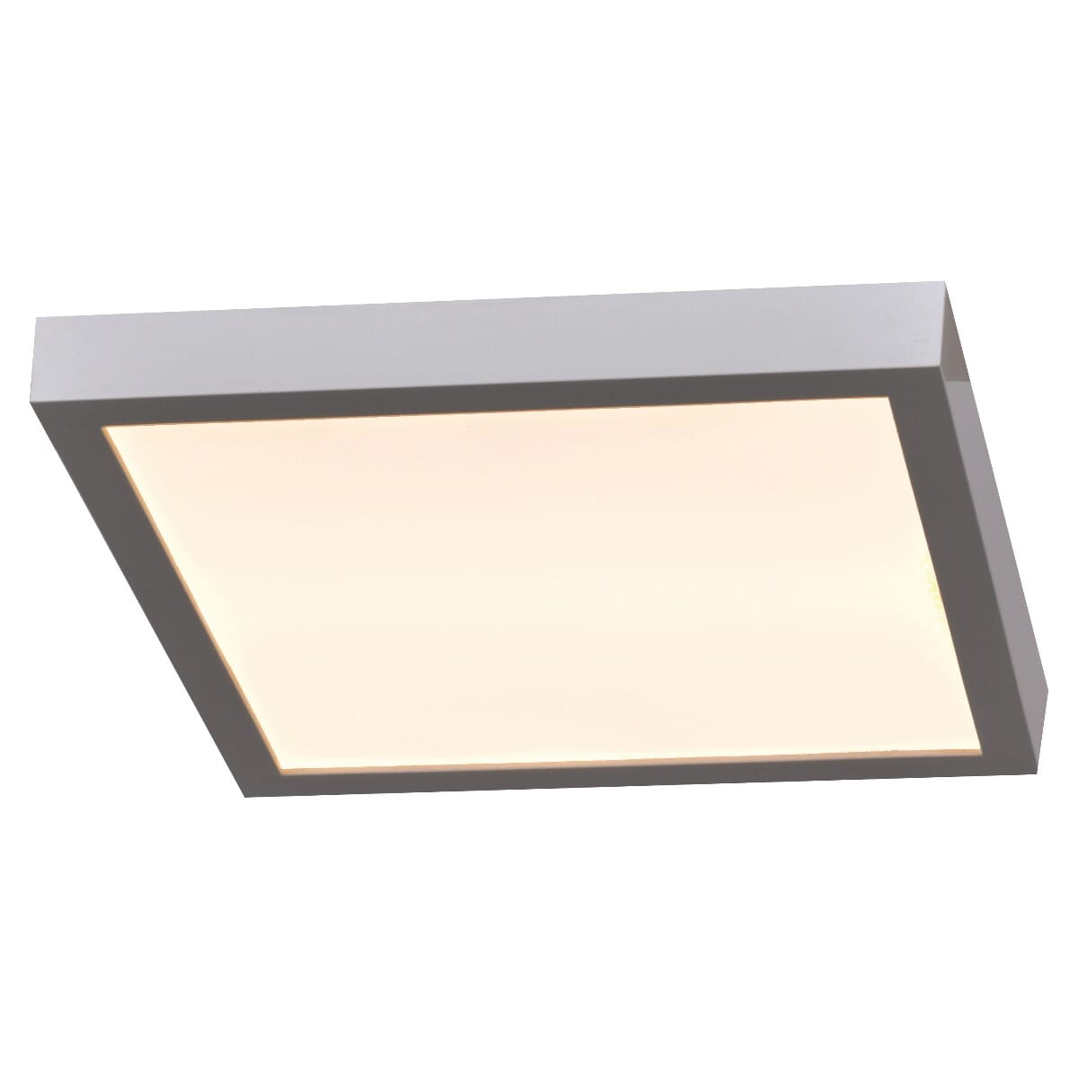 Access Ulko Exterior Square Outdoor Ceiling Light in Silver