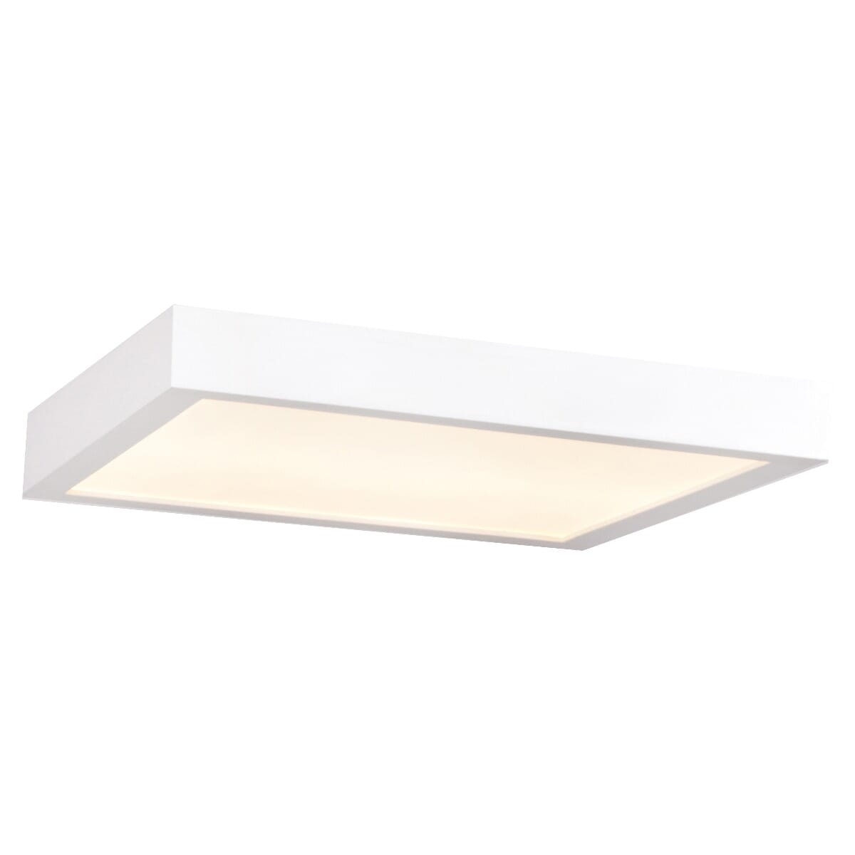 Access Ulko Exterior Outdoor LED Ceiling Light in White