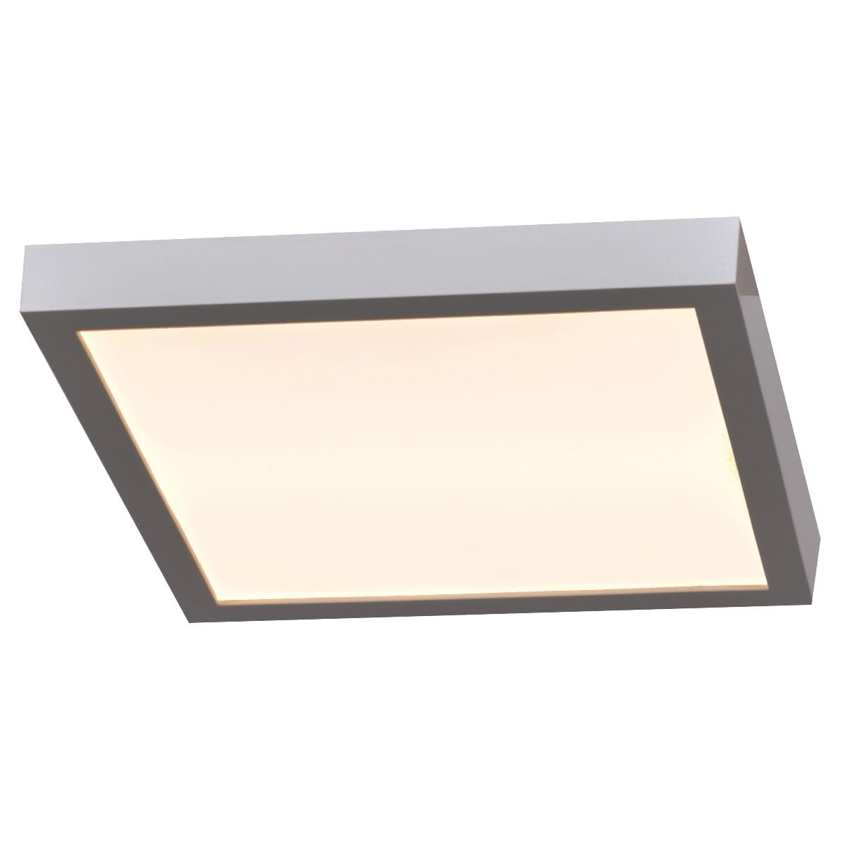 Access Ulko Exterior 1" Outdoor Ceiling Light in Silver