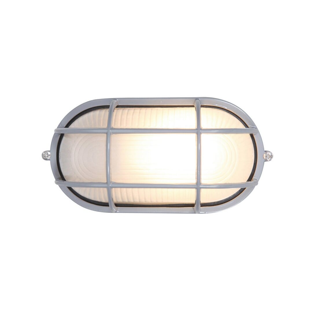 Access Nauticus 4" Outdoor Wall Light in Satin