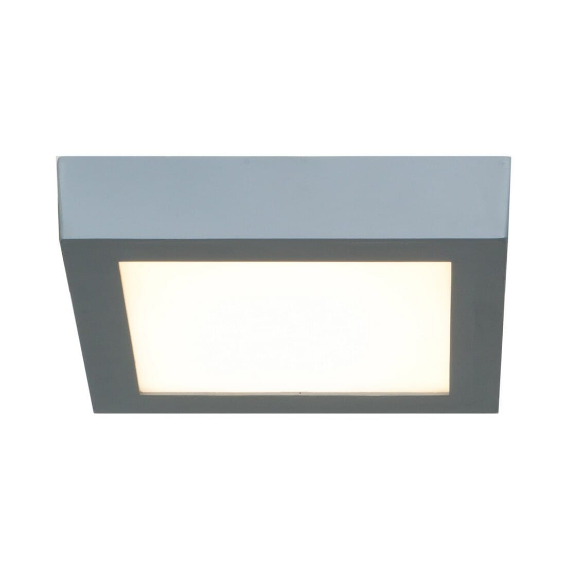 Access Strike 2.0 7" Ceiling Light in Silver