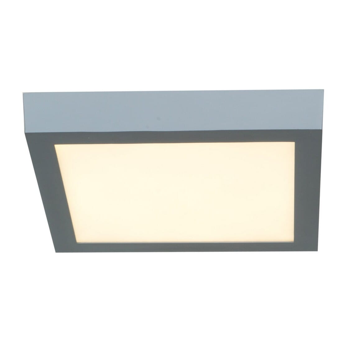 Access Strike 2.0 10" Ceiling Light in Silver