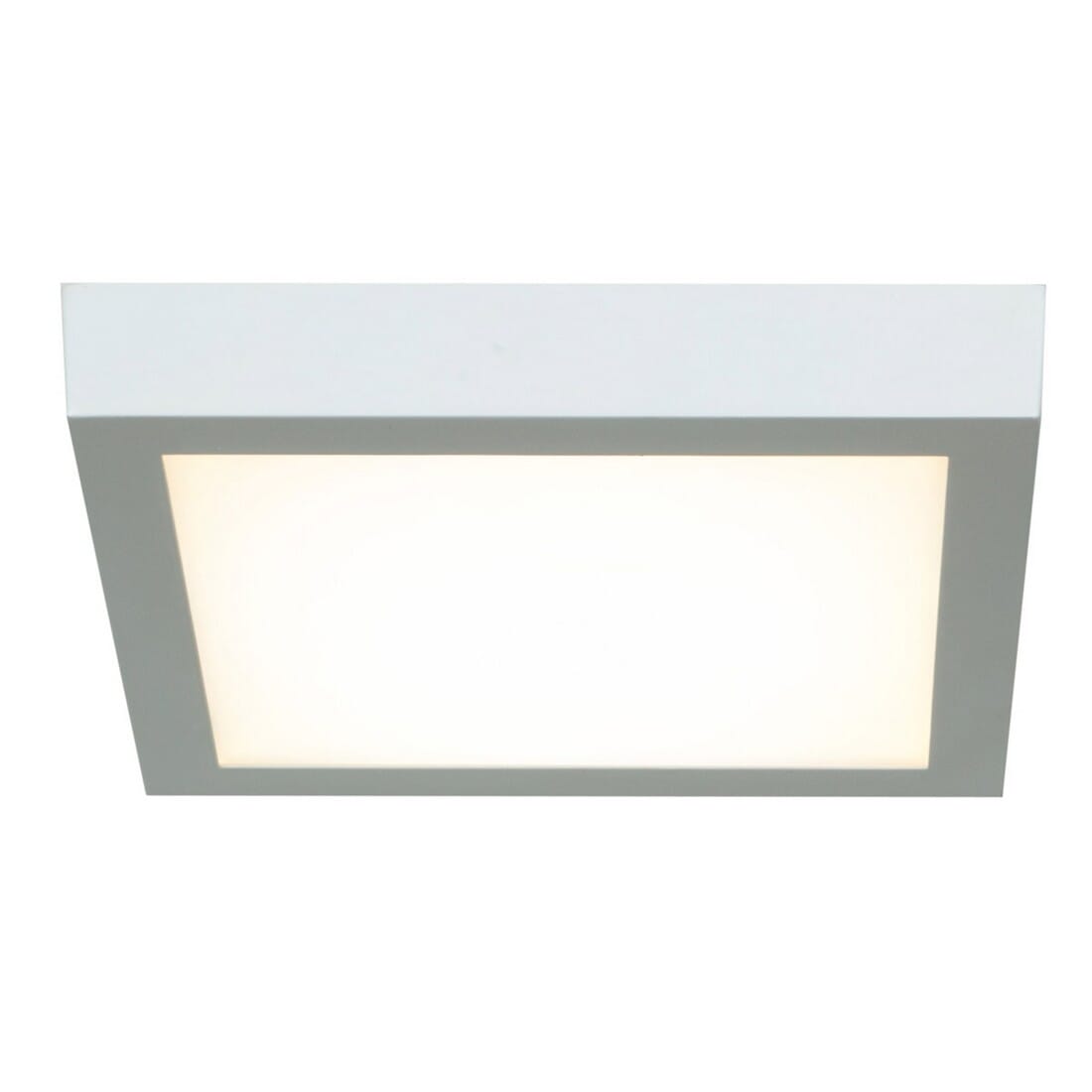 Access Strike 2.0 10" Ceiling Light in White