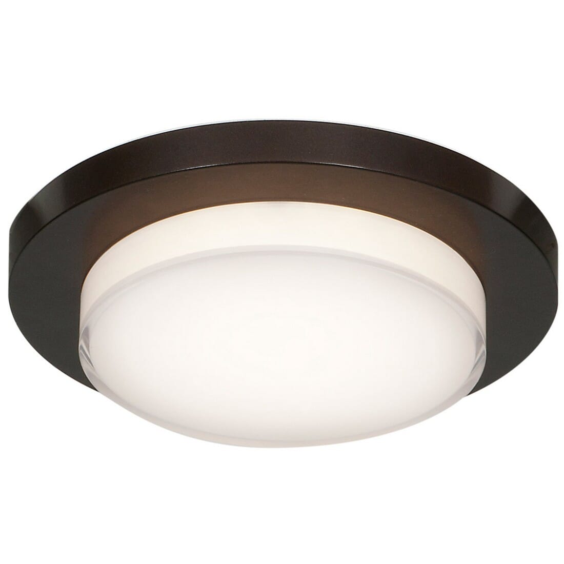 Access Link Plus Ceiling Light in Bronze