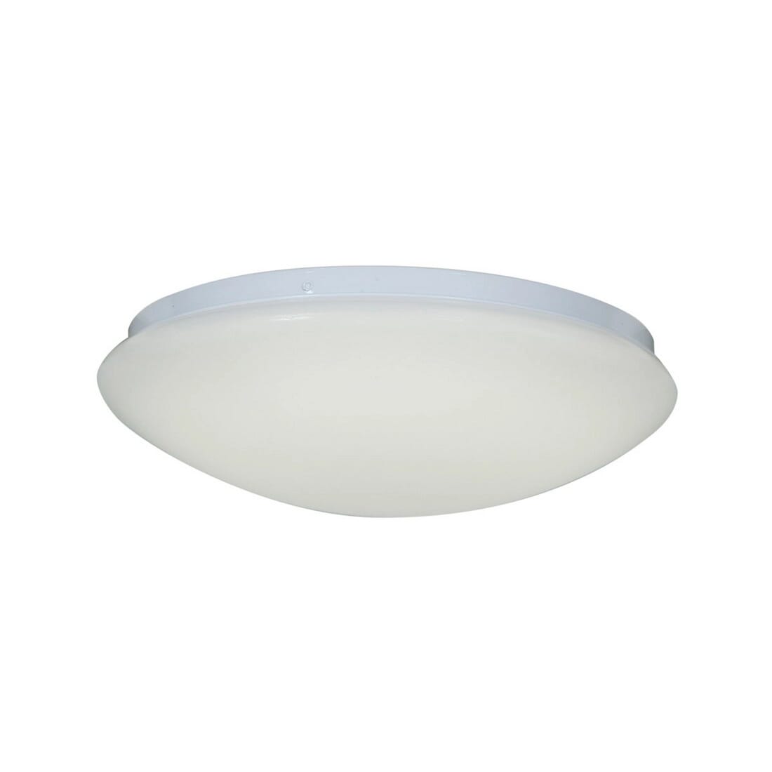 Access Catch Ceiling Light in White