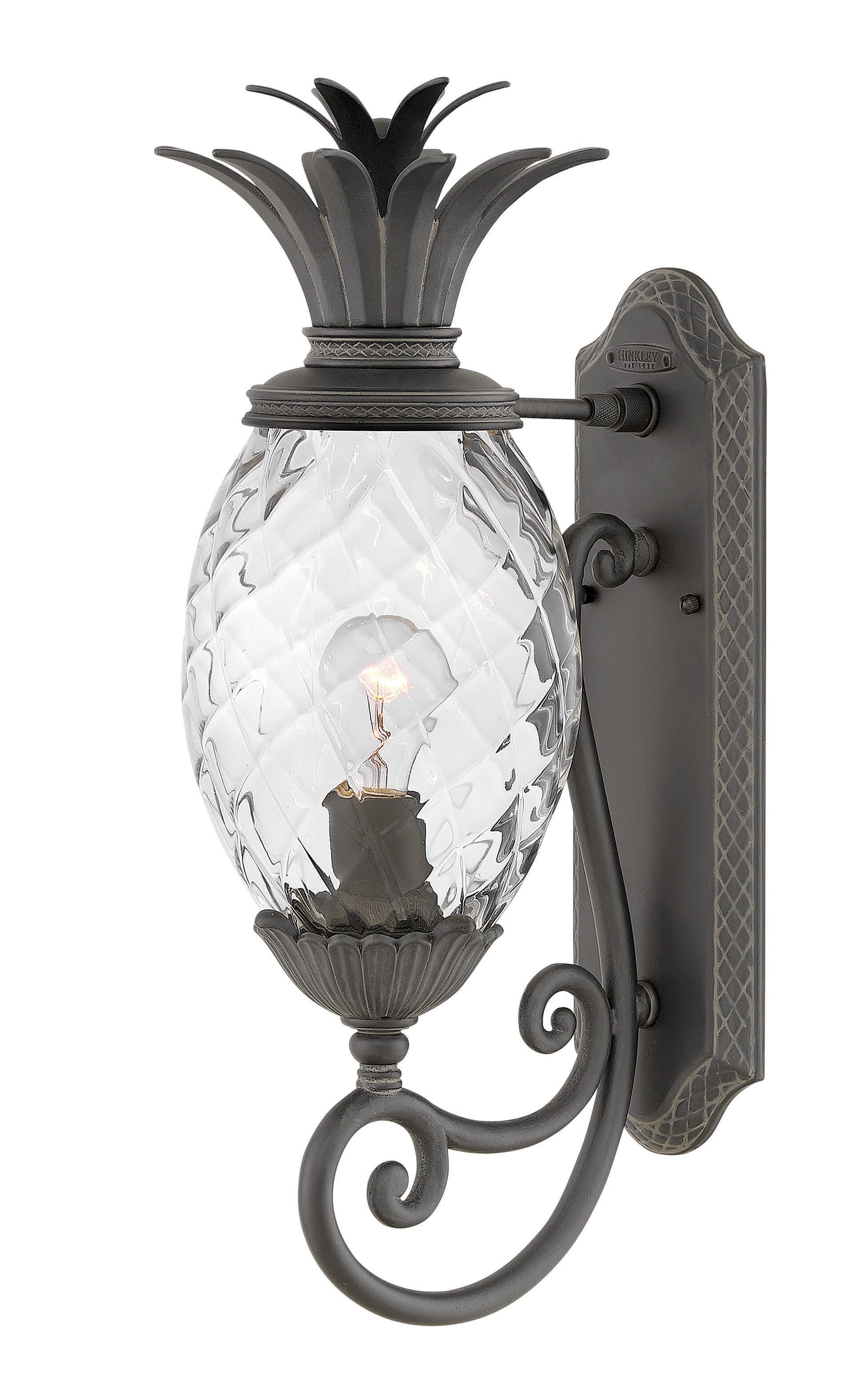 Hinkley Plantation 21" Outdoor Wall Light in Museum Black