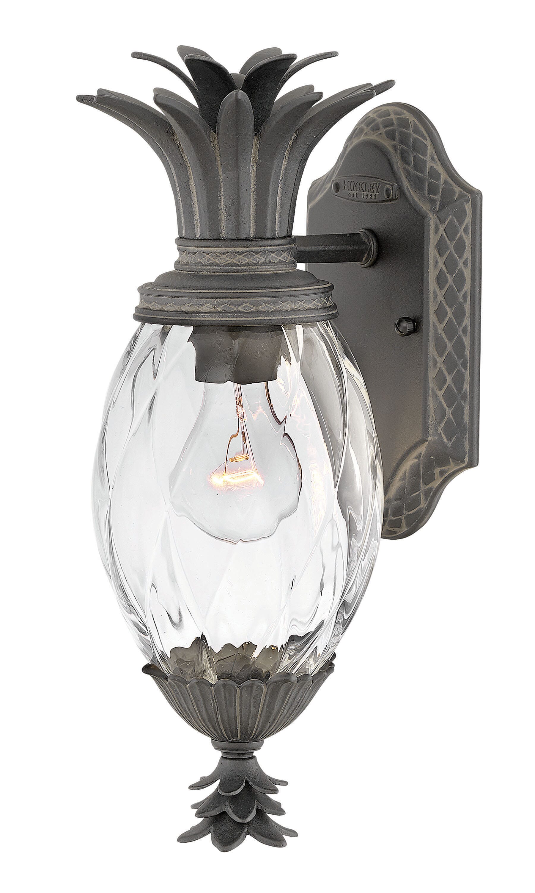 Hinkley Plantation 14" Outdoor Wall Light in Museum Black