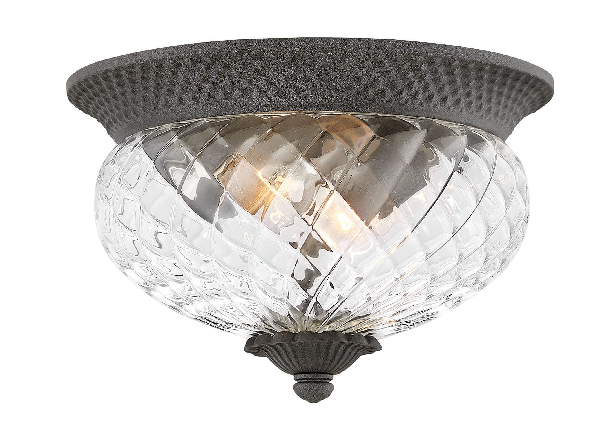 Hinkley Plantation Outdoor Ceiling Light in Museum Black