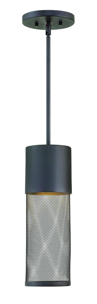 Hinkley Aria 1-Light Outdoor Hanging Light in Black