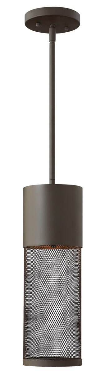 Hinkley Aria 1-Light Outdoor Hanging Light in Buckeye Bronze