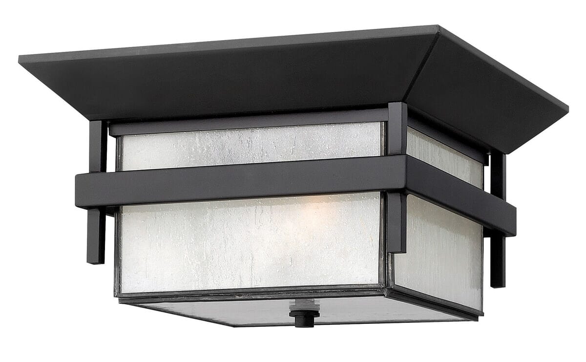 Hinkley Harbor 2-Light Outdoor Ceiling Light in Satin Black