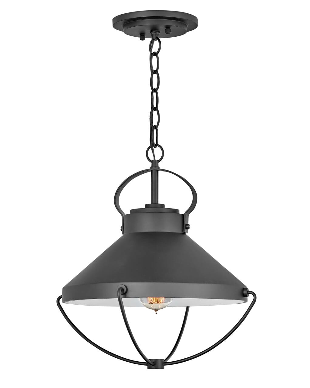 Hinkley Crew Outdoor Hanging Light in Black