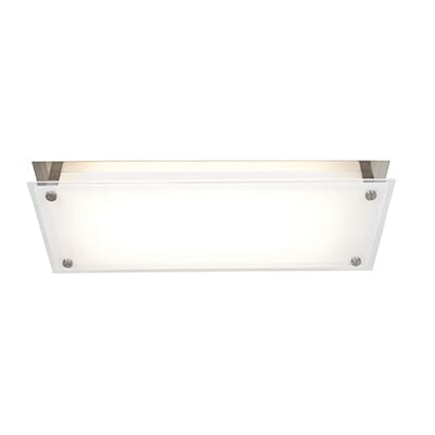 Access Vision 2-Light Wall/Ceiling Mount in Brushed Steel