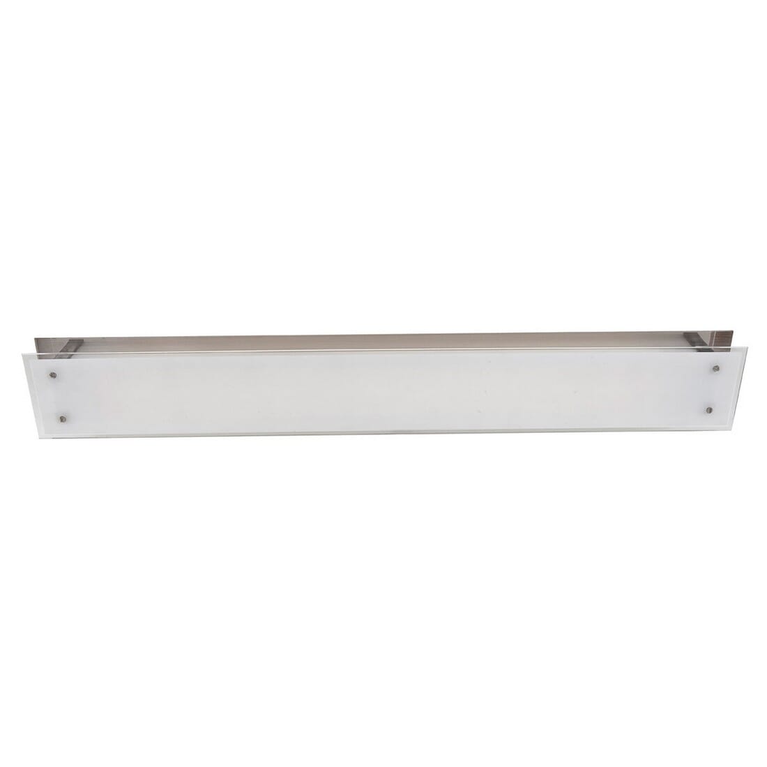 Access Vision 2-Light Wall/Ceiling Mount in Brushed Steel