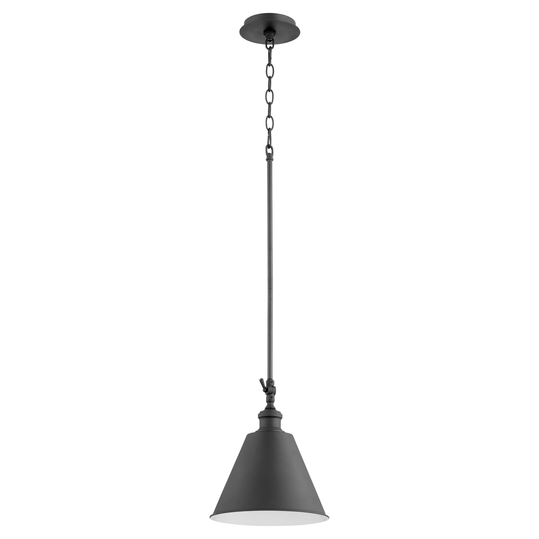 Quorum 10" Pendant Light in Noir