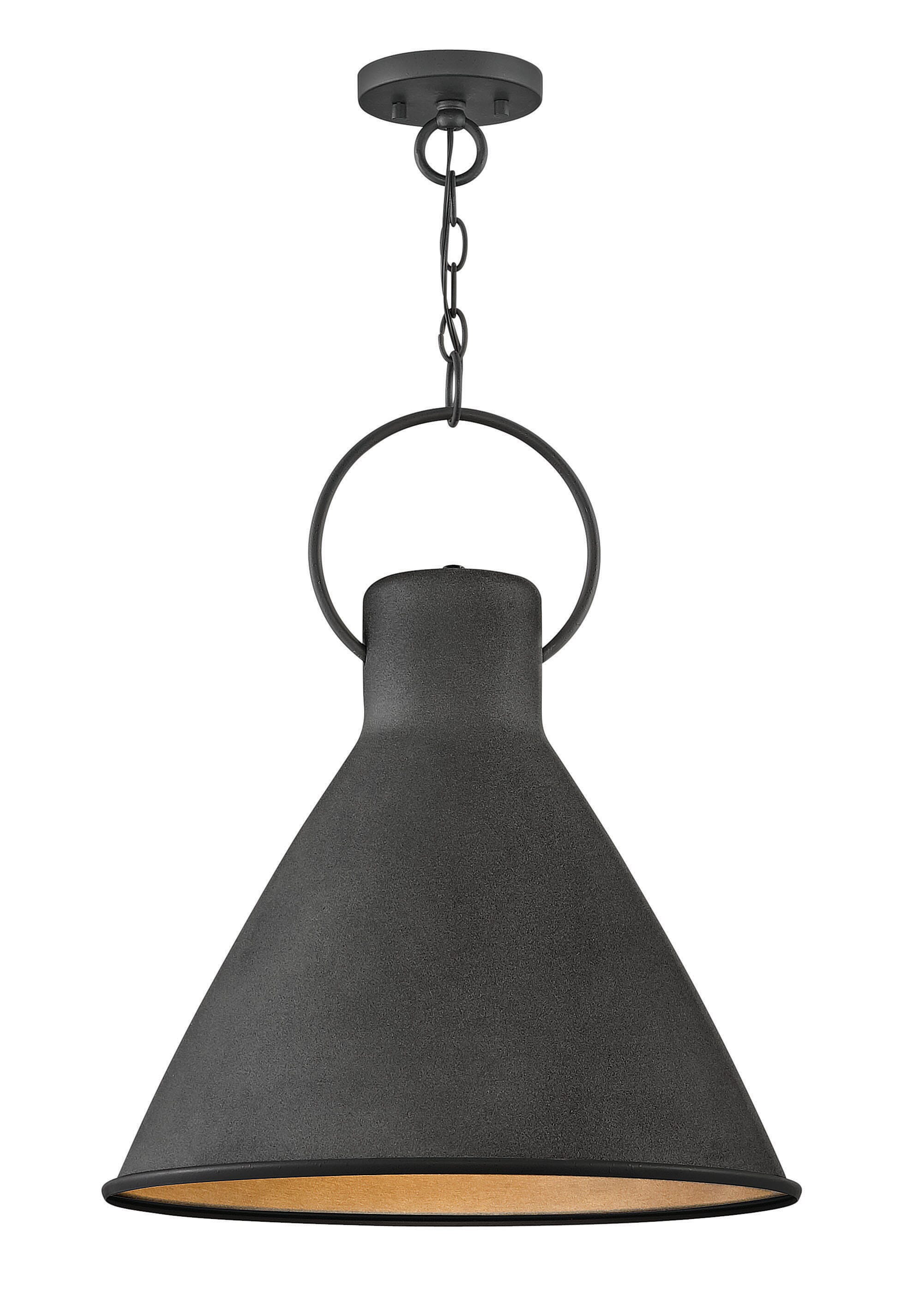 Hinkley Winnie 22" Pendant Light in Aged Zinc