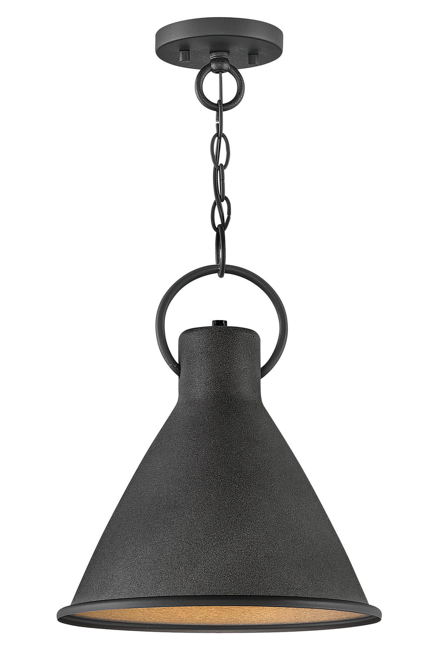 Hinkley Winnie 16" Pendant Light in Aged Zinc