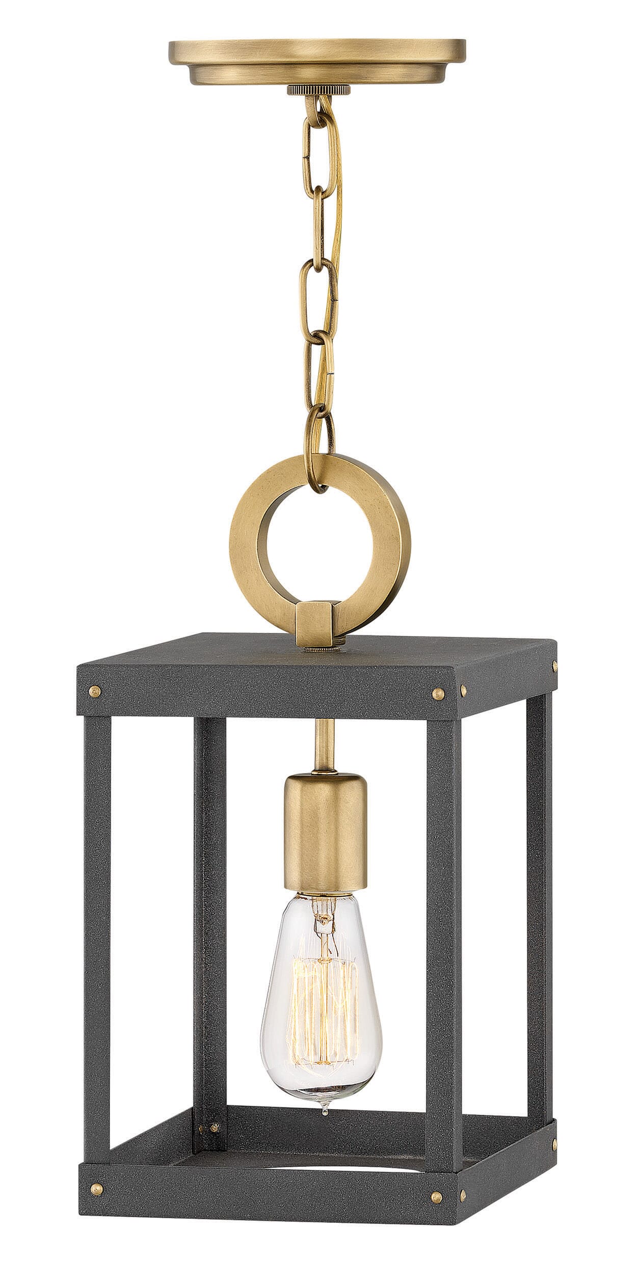 Hinkley Porter by Lisa McDennon 1-Light Pendant in Heritage Brass with Aged Zinc