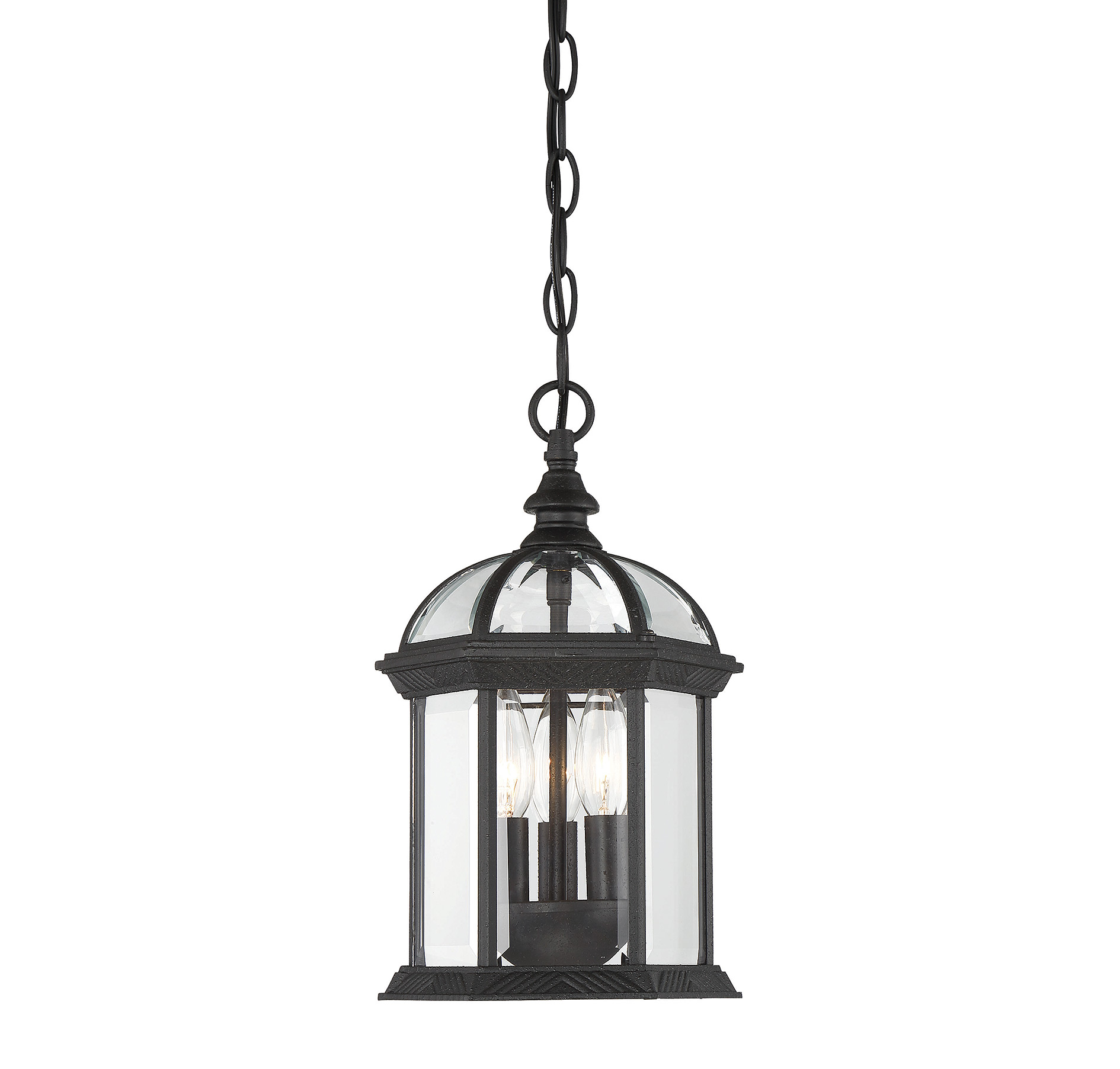 Savoy House Kensington Outdoor Hanging Lantern in Textured Black