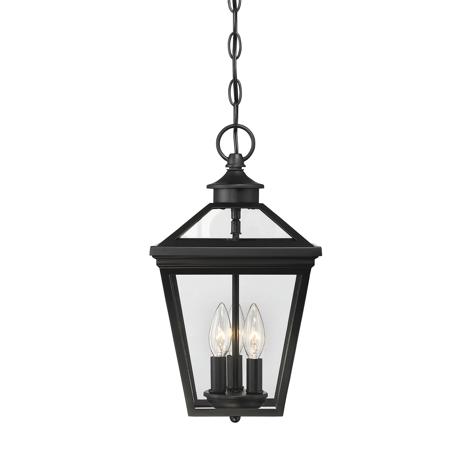 Savoy House Ellijay Outdoor Lantern in Black