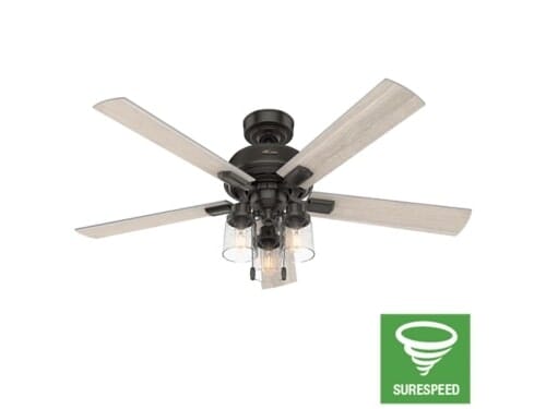 Hunter 3-Light 52" Indoor Ceiling Fan in Noble Bronze