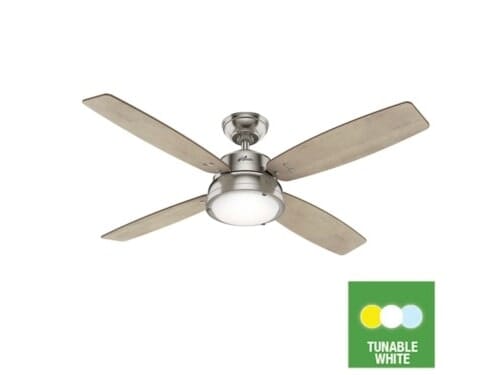 Hunter Wingate Tunable White LED Light 52" Indoor Ceiling Fan in Brushed Nickel