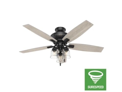 Hunter Charlotte 3-Light 52" Indoor Ceiling Fan in Matte Black