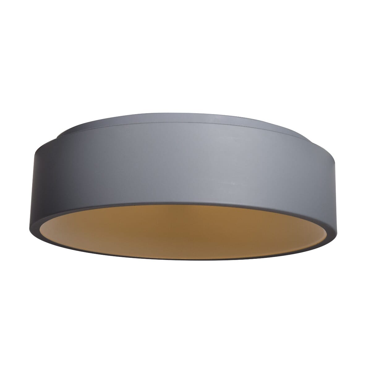 Access Radiant Ceiling Light in Gray