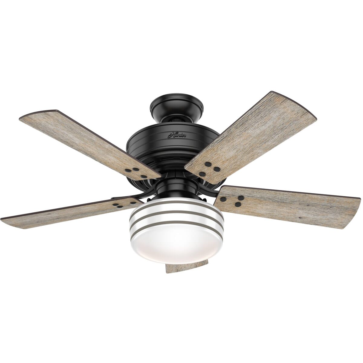 Hunter Cedar Key 44" Indoor/Outdoor Ceiling Fan in Matte Black