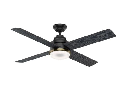 Casablanca Daphne 54" Indoor Ceiling Fan in Matte Black