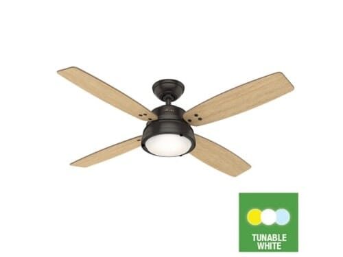 Hunter Wingate Tunable White LED Light 52" Indoor Ceiling Fan in Noble Bronze