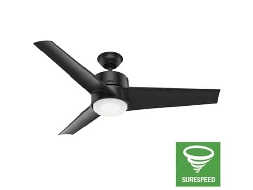 Hunter Havoc 54" Indoor/Outdoor Ceiling Fan in Matte Black